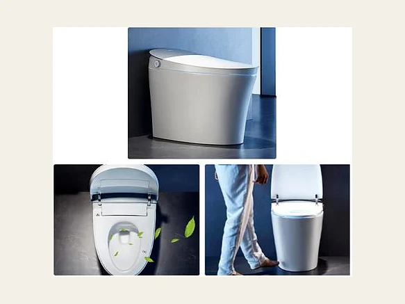 Intelligent Toilets